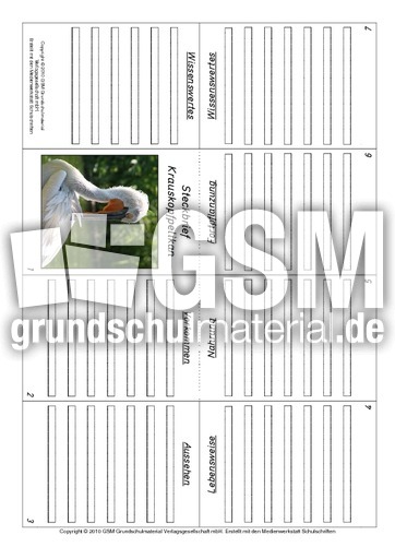 Faltbuch-Krauskopfpelikan.pdf